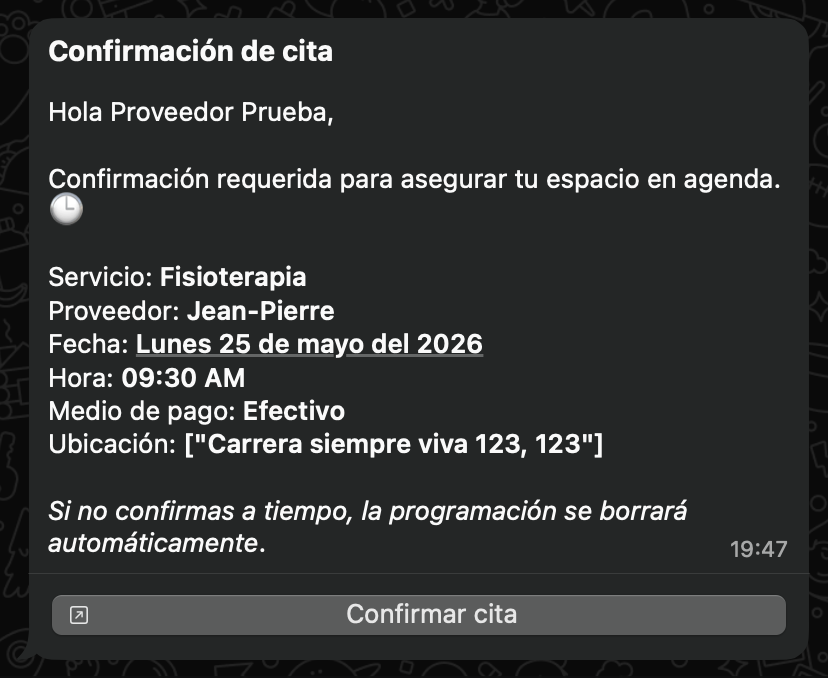 WhatsApp Automático